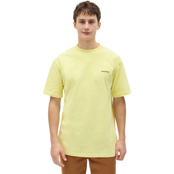 Textiel Heren T-shirts korte mouwen Dickies DK0A4X9OB541 Geel