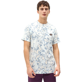 Textiel Heren T-shirts & Polo’s Dickies DK0A4X9PB551 Blauw