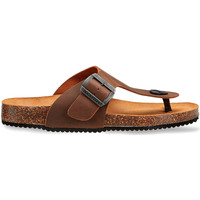 Schoenen Heren Sandalen / Open schoenen Docksteps DSM228401 Brown