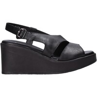 Schoenen Dames Sandalen / Open schoenen Sshady L2502 Zwart