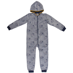 Textiel Jongens Pyjama's / nachthemden Harry Potter 2200006518 Blauw