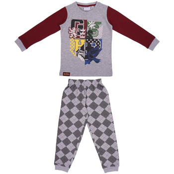 Textiel Kinderen Pyjama's / nachthemden Harry Potter 2200006346 Grijs