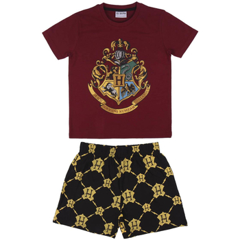 Textiel Kinderen Pyjama's / nachthemden Harry Potter 2200006993 Rood
