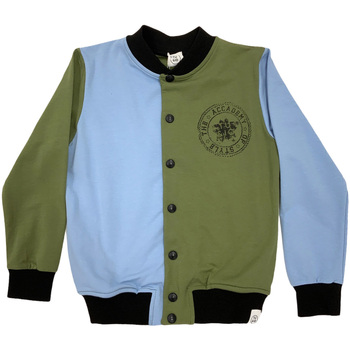 Textiel Kinderen Sweaters / Sweatshirts Naturino 6000714 01 Blauw