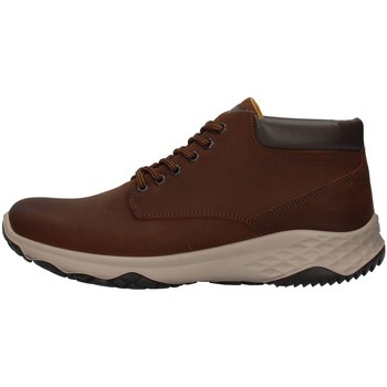 Schoenen Heren Lage sneakers IgI&CO 8119511 Brown