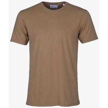 Textiel T-shirts korte mouwen Colorful Standard T-shirt  Sahara Camel Brown