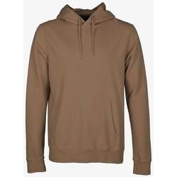 Textiel Sweaters / Sweatshirts Colorful Standard Sweatshirt à capuche  Sahara Camel Brown