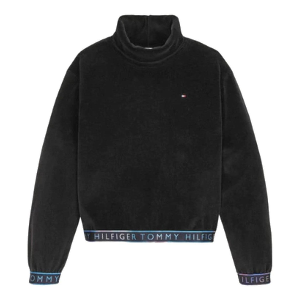 Textiel Meisjes Sweaters / Sweatshirts Tommy Hilfiger  Zwart