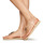 Schoenen Dames Sandalen / Open schoenen Ipanema IPANEMA CLASS CHIC II FEM Beige