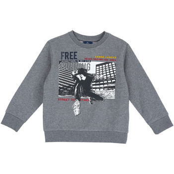 Textiel Kinderen Sweaters / Sweatshirts Chicco 09069513000000 Rood