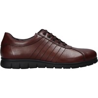 Schoenen Heren Sneakers Soldini 19780-J-M80 Brown