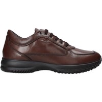 Schoenen Heren Lage sneakers IgI&CO 8115111 Brown