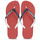 Schoenen Slippers Havaianas BRASIL MIX Rood