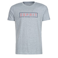 Textiel Heren T-shirts korte mouwen Esprit BCI N cn aw ss Grijs