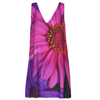 Textiel Dames Korte jurken Desigual VEST_LOLO Roze / Violet