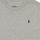 Textiel Jongens T-shirts korte mouwen Polo Ralph Lauren LILLOW Grijs
