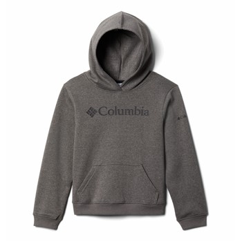 Textiel Jongens Sweaters / Sweatshirts Columbia COLUMBIA TREK HOODIE Grijs