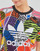 Textiel Dames T-shirts korte mouwen adidas Originals REGULAR TSHIRT Multicolour