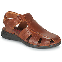Schoenen Heren Sandalen / Open schoenen Pikolinos CALBLANQUE M8T Brown