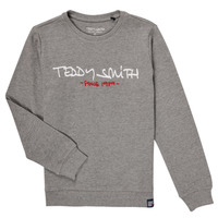 Textiel Jongens Sweaters / Sweatshirts Teddy Smith S-MICKE Grijs