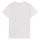 Textiel Jongens T-shirts korte mouwen Teddy Smith T-ALTINO Wit