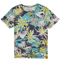 Textiel Jongens T-shirts korte mouwen Teddy Smith T-AUSTIN Multicolour