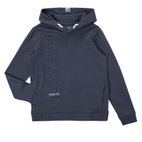 Textiel Jongens Sweaters / Sweatshirts Teddy Smith S-ALTI Marine