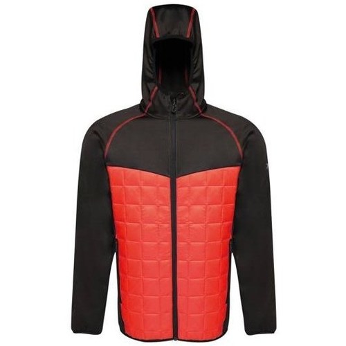 Textiel Heren Jacks / Blazers Regatta Modular Thermal Noir, Rouge