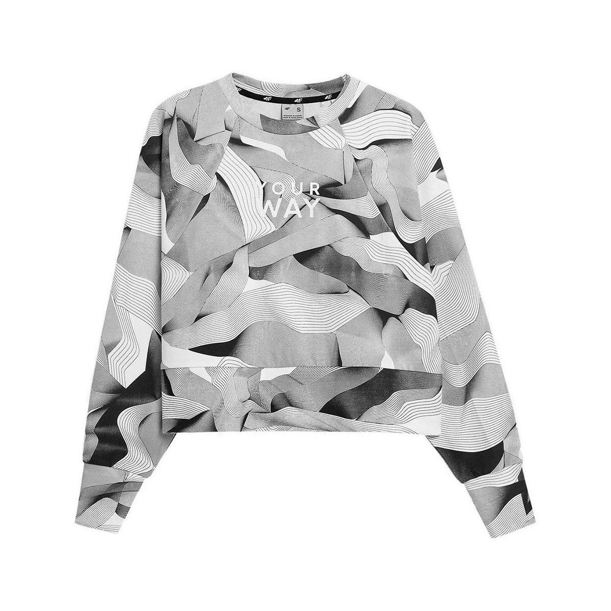Textiel Dames Sweaters / Sweatshirts 4F BLD021 Grijs