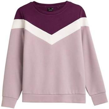 Textiel Dames Sweaters / Sweatshirts 4F BLD025 Rose, Cerise