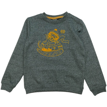 Textiel Kinderen Sweaters / Sweatshirts Losan 125-6659AL Groen