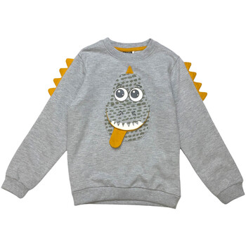 Textiel Kinderen Sweaters / Sweatshirts Losan 125-6007AL Grijs