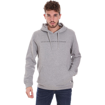 Textiel Heren Sweaters / Sweatshirts Gaudi 121GU64052 Grijs