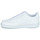 Schoenen Heren Lage sneakers Nike Nike Court Vision Low Next Nature Wit
