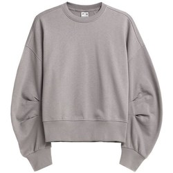 Textiel Dames Sweaters / Sweatshirts 4F H4Z21 BLD019 Gris