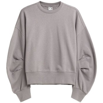 Textiel Dames Sweaters / Sweatshirts 4F H4Z21 BLD019 Grijs