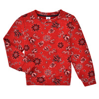 Textiel Meisjes Sweaters / Sweatshirts Petit Bateau BILVIE Multicolour