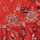Textiel Meisjes Korte jurken Petit Bateau BLOOM Rood