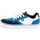 Schoenen Heren Skateschoenen DC Shoes Rowlan Blanc, Bleu