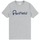 Textiel Heren T-shirts korte mouwen Penfield T-shirt  Bear Chest Grijs
