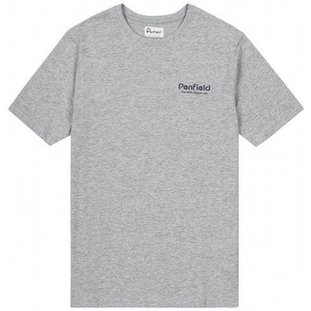 Textiel Heren T-shirts korte mouwen Penfield T-shirt  Hudson Script Grijs