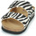 Schoenen Dames Leren slippers Scholl JOSEPHINE Zebra