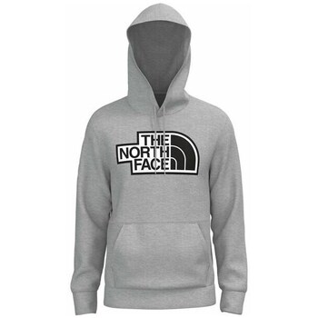 Textiel Heren Sweaters / Sweatshirts The North Face Explr Flc PO Hoodie Grijs