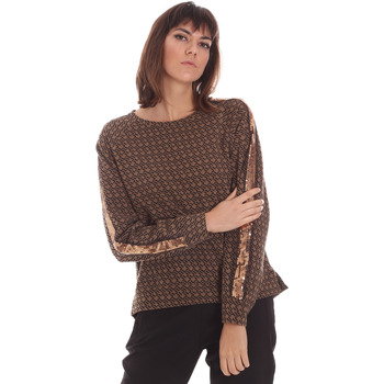 Textiel Dames Sweaters / Sweatshirts Jijil JSI20FP224 Brown