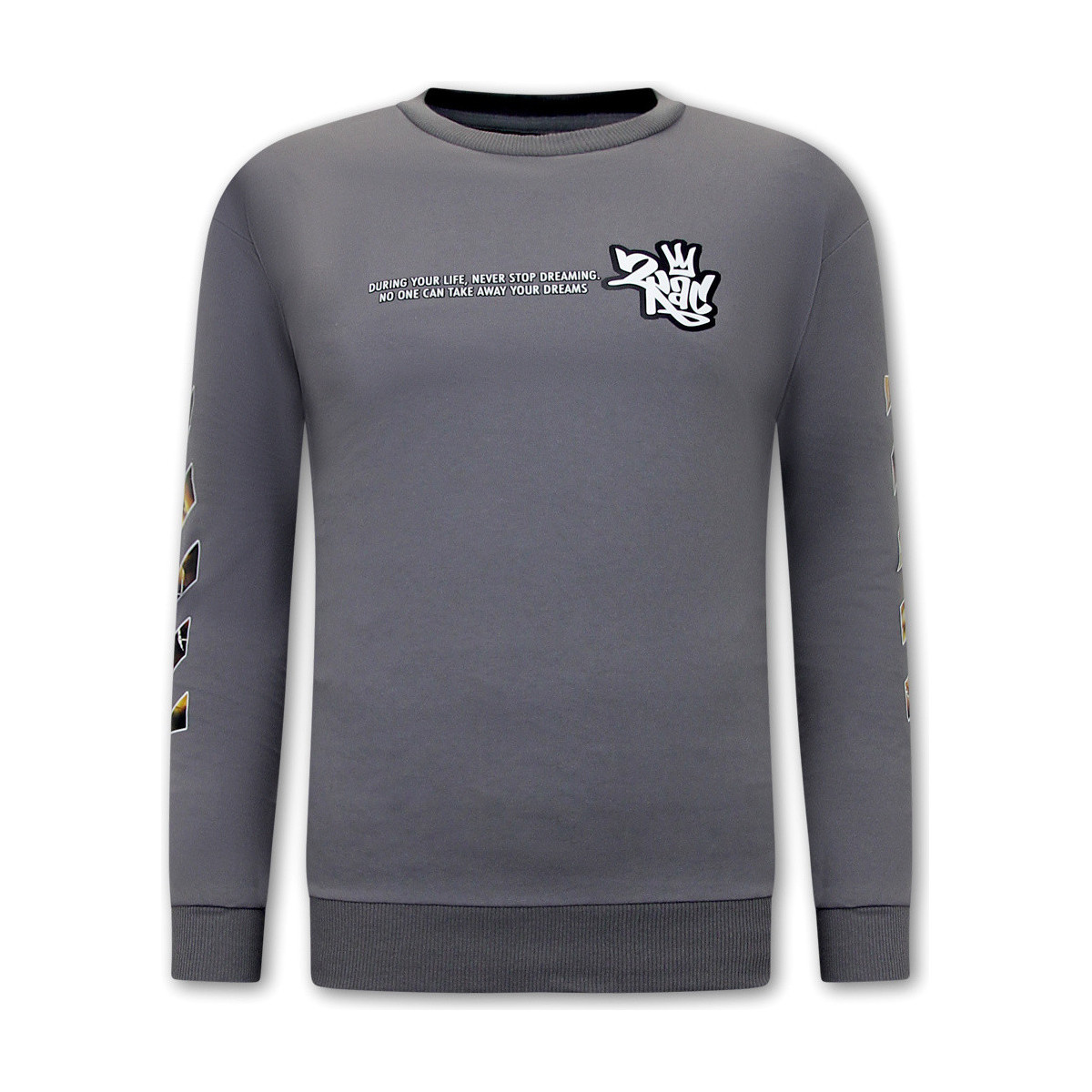 Textiel Heren Sweaters / Sweatshirts Ikao Tupac Shakur Pac Grijs