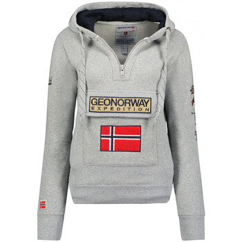 Textiel Dames Sweaters / Sweatshirts Geographical Norway  Grijs