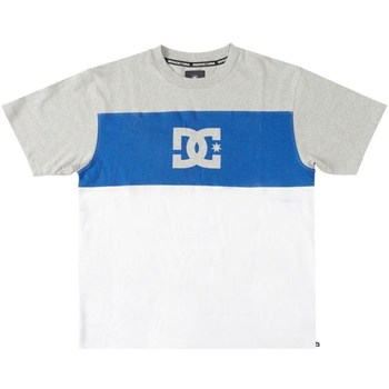 Textiel Heren T-shirts korte mouwen DC Shoes Glen End Blanc, Gris, Bleu