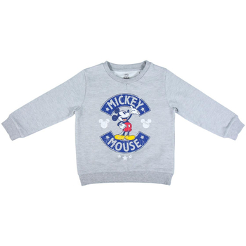 Textiel Jongens Sweaters / Sweatshirts Disney 2200006494 Grijs