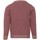 Textiel Jongens Sweaters / Sweatshirts Pepe jeans  Roze