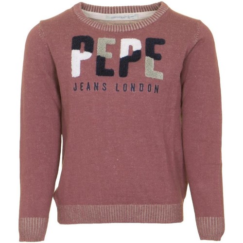 Textiel Jongens Sweaters / Sweatshirts Pepe jeans  Roze